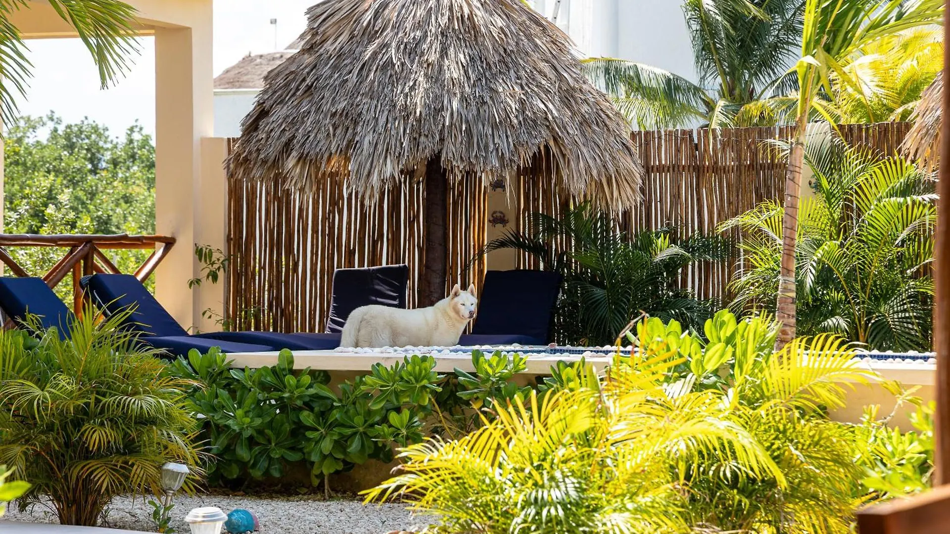 Holiday home 3 Bedrooms House Shared Pool Isla Holbox Mexico